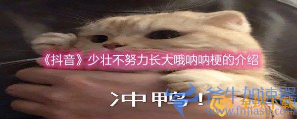 《抖音》少壮不努力长大哦呐呐梗的介绍