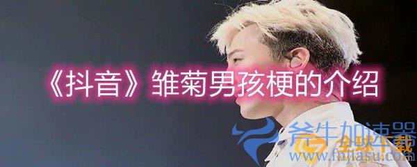 《抖音》雏菊男孩梗的介绍