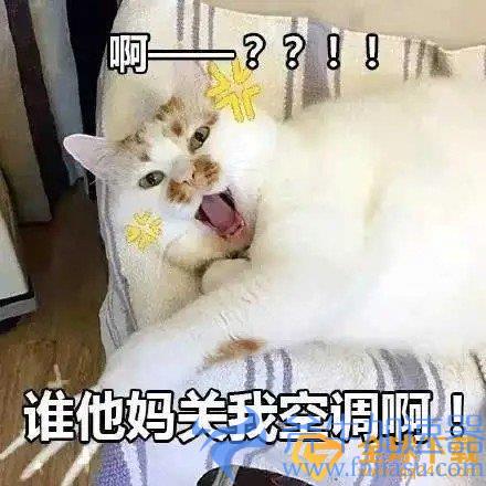 《抖音》关你空调表情包分享