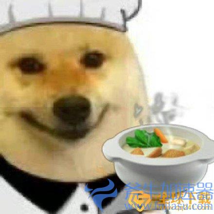 《抖音》小狗厨师表情包分享