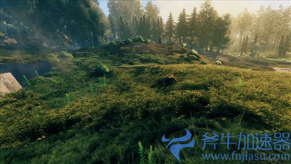 《Valheim:英灵神殿》高清纹理MOD 更具真实感(valheim英灵神殿怎么设置中文)