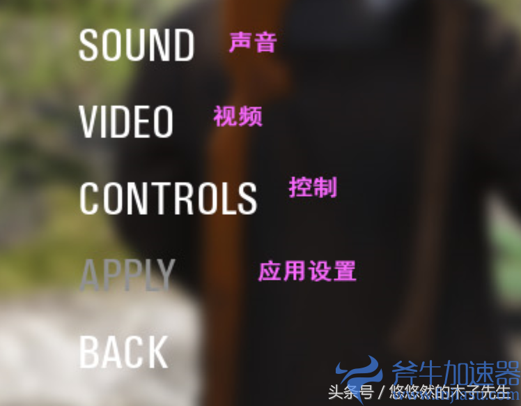 dxqpl scum设置翻译(scum英文设置翻译)(人渣scum设置翻译)