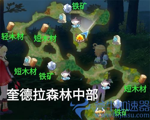 玛娜希斯回响奎德拉森林中部采集点一览