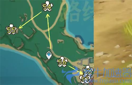 原神绯樱绣球采集路线图