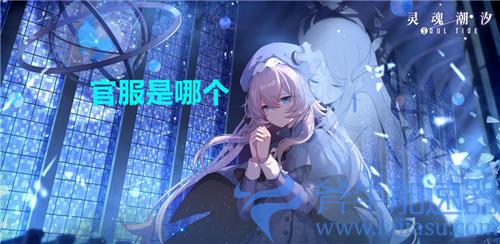 灵魂潮汐官服是哪个 用什么登陆算官方渠道