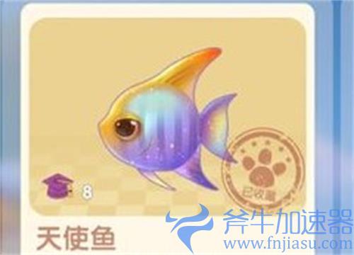 摩尔庄园天使鱼长什么样 天使鱼外观一览