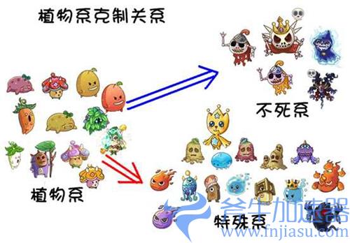 摩尔庄园精灵克制关系图 宠物种族系别克制关系一览
