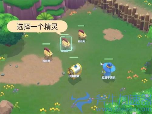 摩尔庄园精灵有什么用 宠物作用介绍