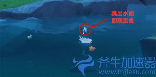 原神观赏鱼在哪钓