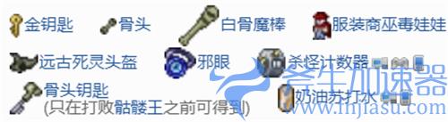 泰拉瑞亚地牢有什么好东西 装备掉落物总览