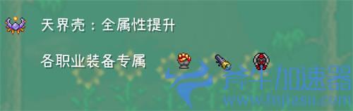 泰拉瑞亚法师毕业饰品推荐 1.4法师毕业饰品带什么好