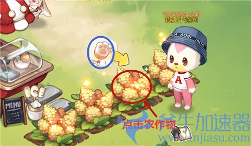 奥比岛梦想国度怎么收菜 收获藜麦教学