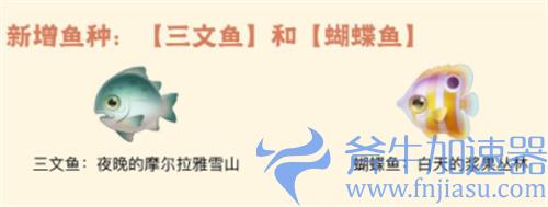 摩尔庄园三文鱼有什么用 三文鱼作用介绍