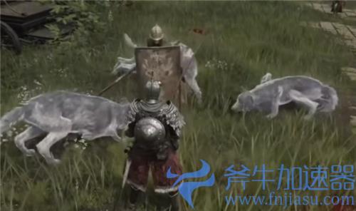 艾尔登法环怎么召唤狼 野狼灵魂召唤方法