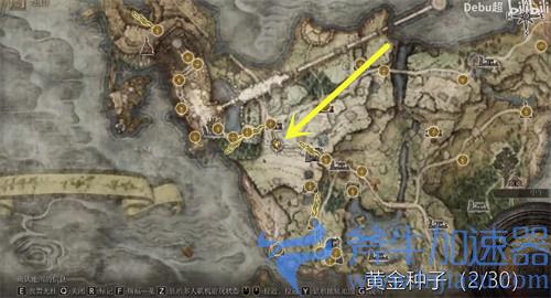 艾尔登法环黄金种子在哪里 位置分布图一览
