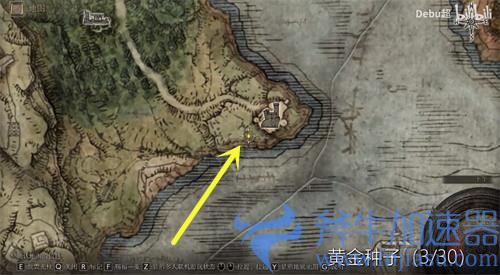 艾尔登法环黄金种子在哪里 位置分布图一览
