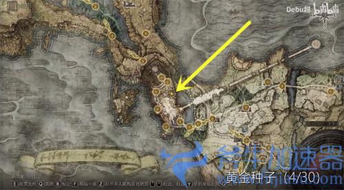 艾尔登法环黄金种子在哪里 位置分布图一览