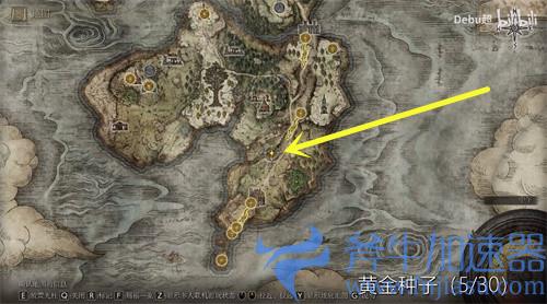 艾尔登法环黄金种子在哪里 位置分布图一览