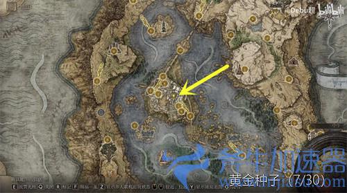艾尔登法环黄金种子在哪里 位置分布图一览