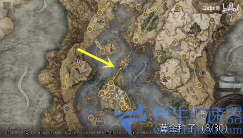 艾尔登法环黄金种子在哪里 位置分布图一览