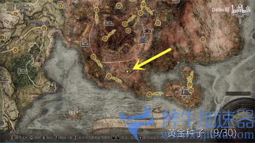艾尔登法环黄金种子在哪里 位置分布图一览
