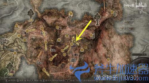 艾尔登法环黄金种子在哪里 位置分布图一览
