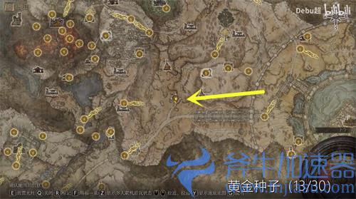 艾尔登法环黄金种子在哪里 位置分布图一览