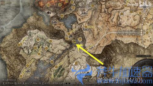 艾尔登法环黄金种子在哪里 位置分布图一览