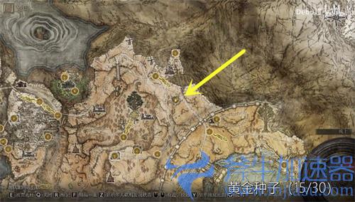 艾尔登法环黄金种子在哪里 位置分布图一览