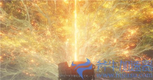 艾尔登法环为什么要烧黄金树 老头环烧树原因影响详解