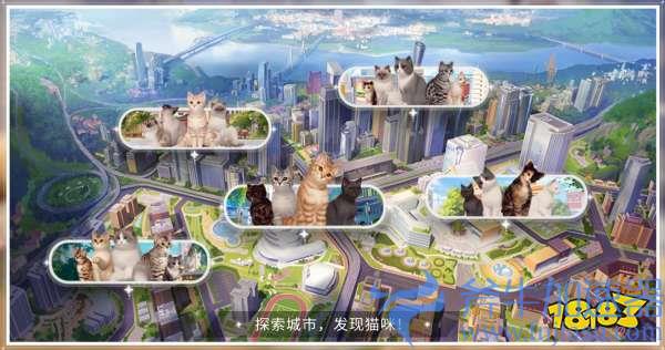 铲屎官必玩 《我和我的猫》手游测试今日开启